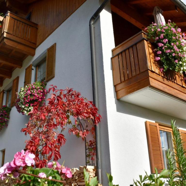 Haus Vlcek - Apartment mit Blick auf die Berge - 27