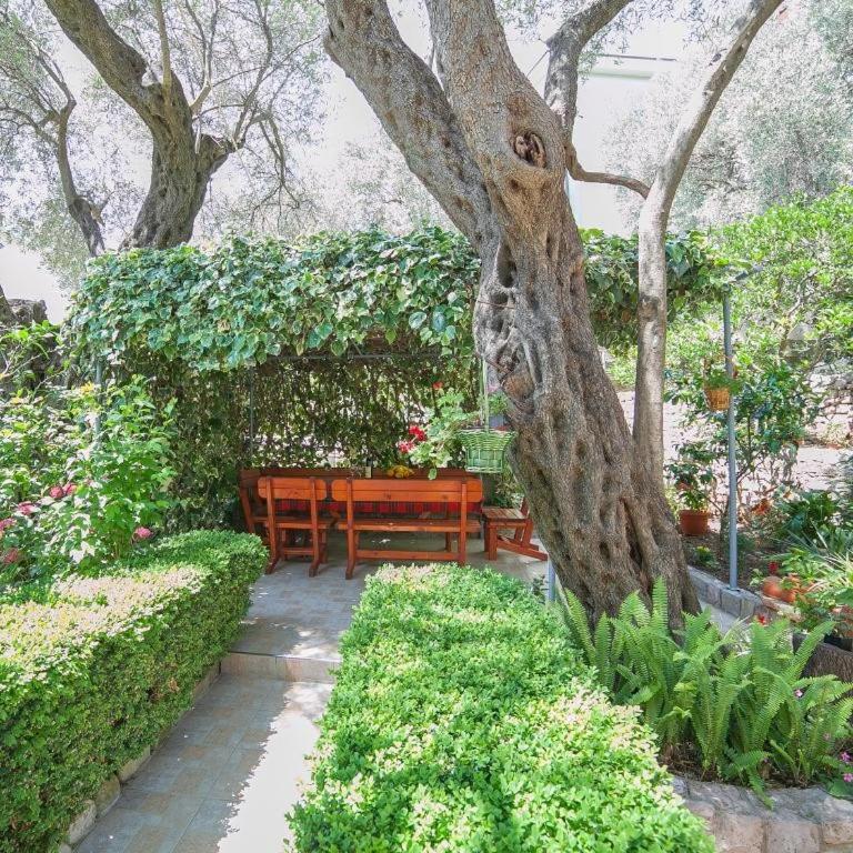 Rooms Garden - Double Room - 2