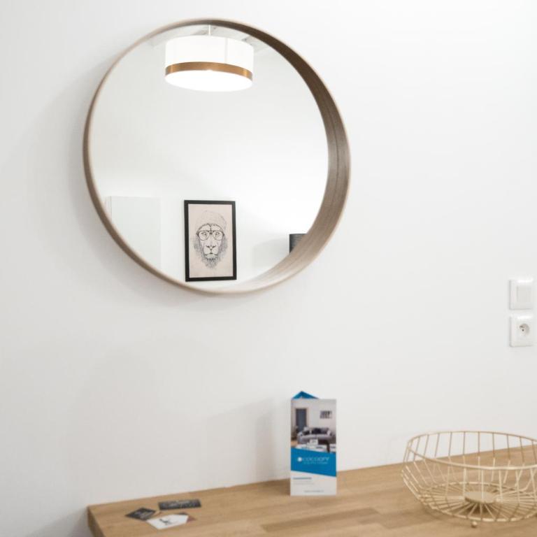 Le Nid du Lion - Joli T2 quartier St Georges au calme - One-Bedroom Apartment - 14