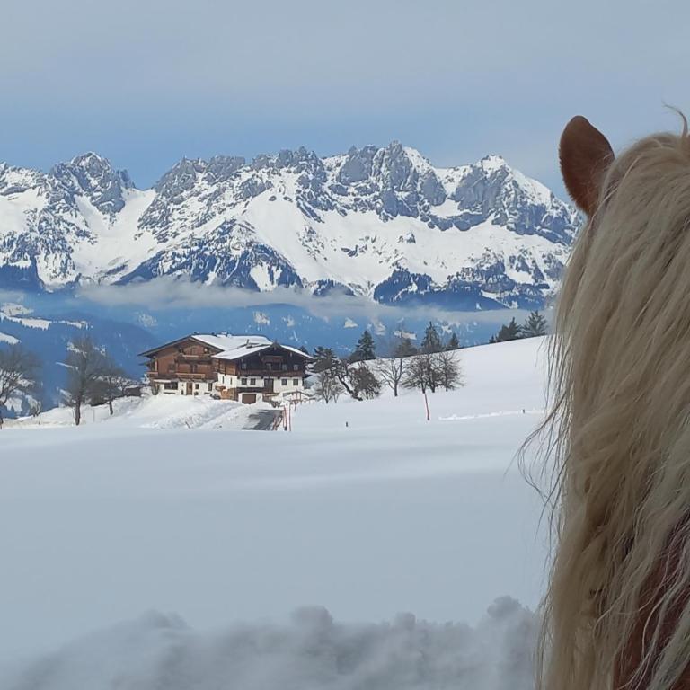 Hahnenkammblick - Apartment mit 3 Schlafzimmern - 31