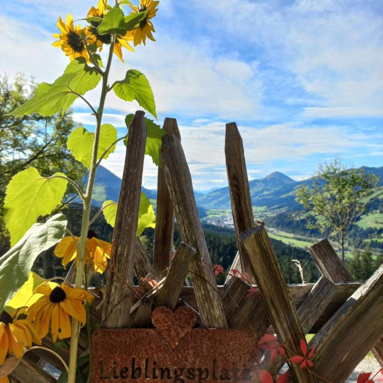 Hahnenkammblick - Apartment mit 3 Schlafzimmern - 12