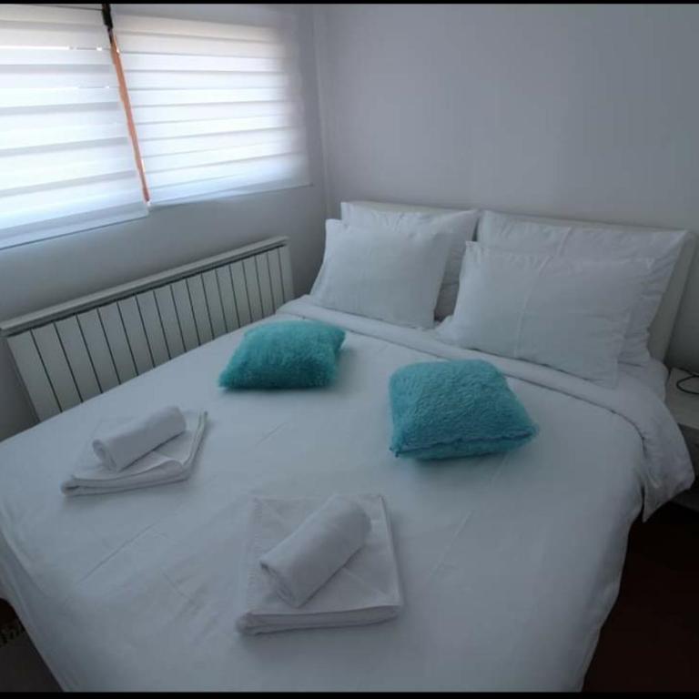 Pegaz009**** - Apartman sa 1 Spavaćom Sobom - 1