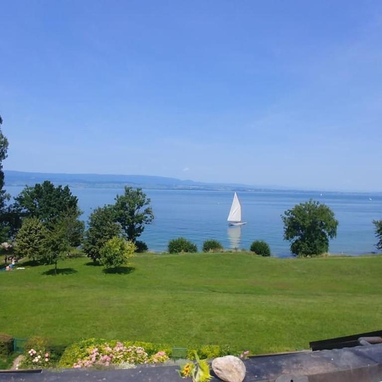 Lakefront. Appartement pieds dans l'eau. View and direct access to the lake. - Appartement 2 Chambres - 7