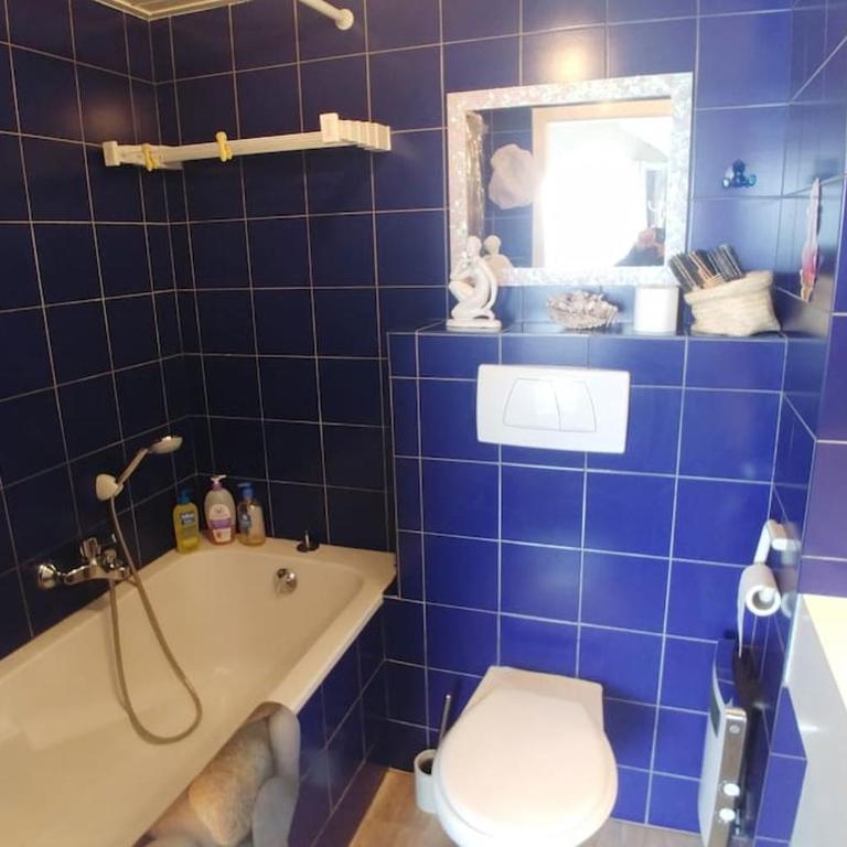 Lakefront. Appartement pieds dans l'eau. View and direct access to the lake. - Appartement 2 Chambres - 13