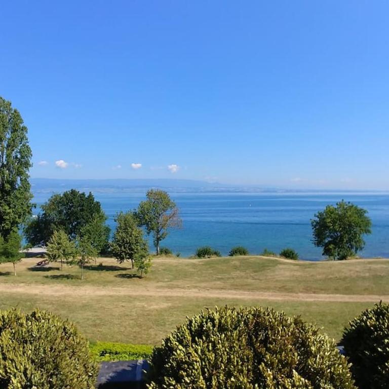 Lakefront. Appartement pieds dans l'eau. View and direct access to the lake. - Appartement 2 Chambres - 26