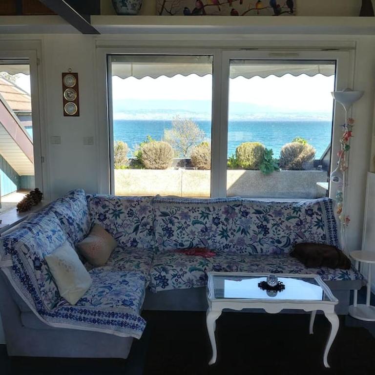 Lakefront. Appartement pieds dans l'eau. View and direct access to the lake. - Appartement 2 Chambres - 17