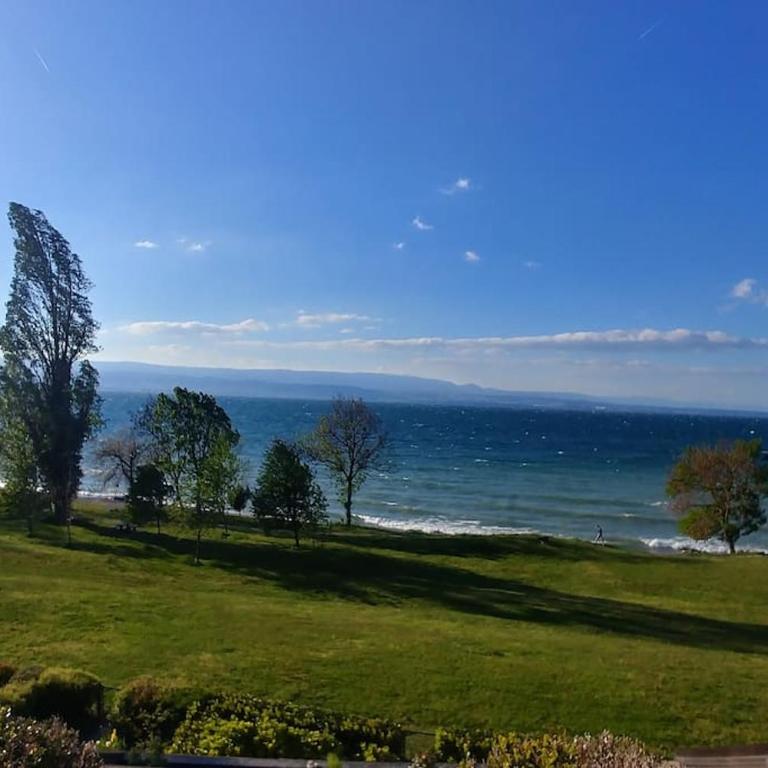 Lakefront. Appartement pieds dans l'eau. View and direct access to the lake. - Appartement 2 Chambres - 21
