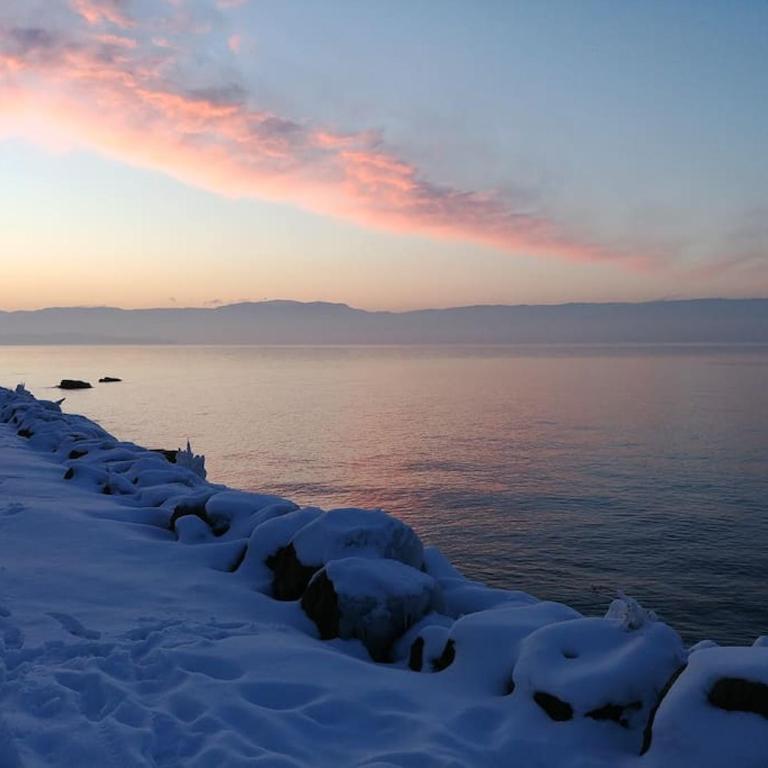 Lakefront. Appartement pieds dans l'eau. View and direct access to the lake. - Appartement 2 Chambres - 31