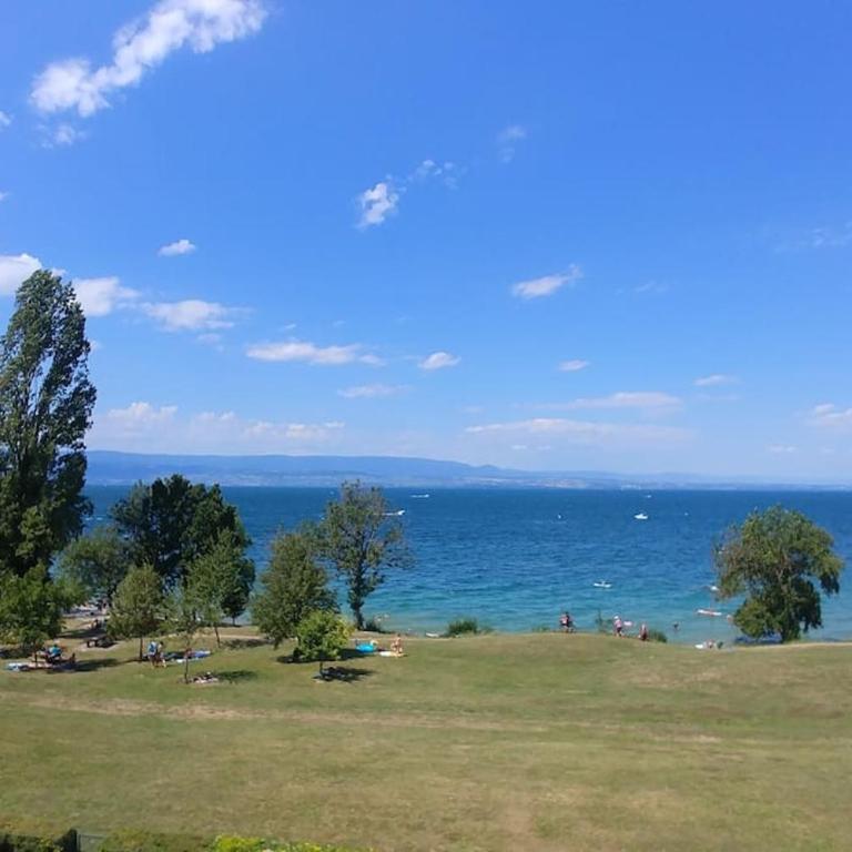 Lakefront. Appartement pieds dans l'eau. View and direct access to the lake. - Appartement 2 Chambres - 20
