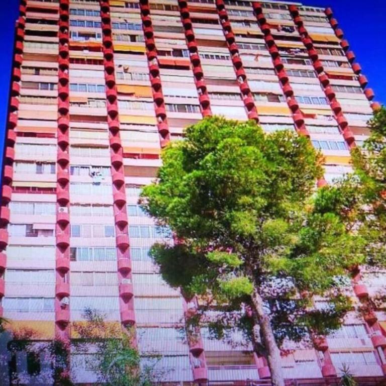 Las mejores vistas de benidorm. - One-Bedroom Apartment - 14