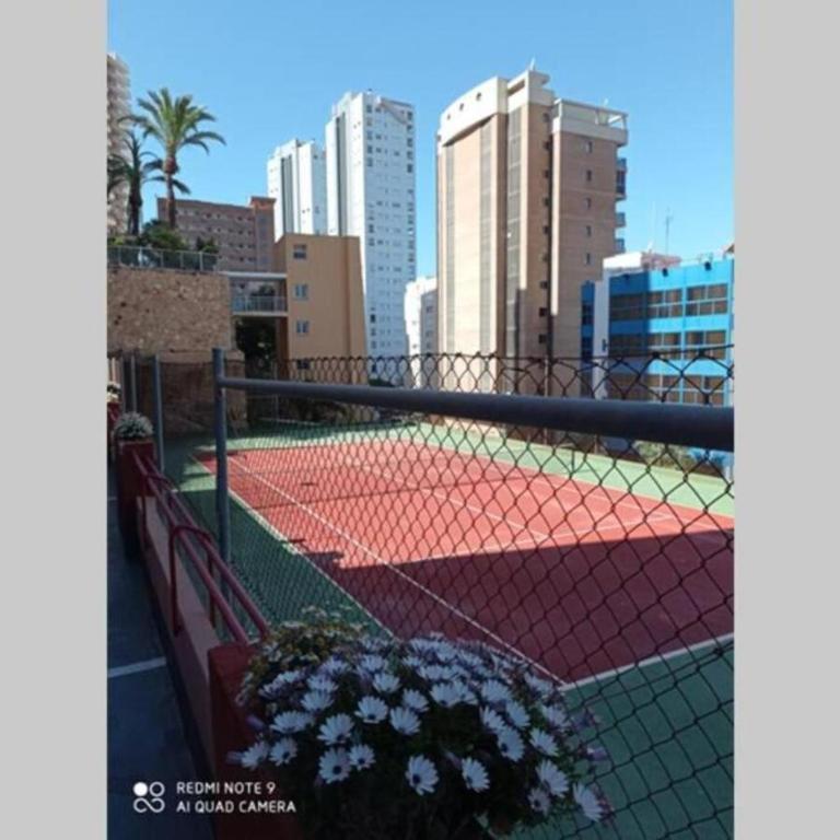 Las mejores vistas de benidorm. - One-Bedroom Apartment - 13