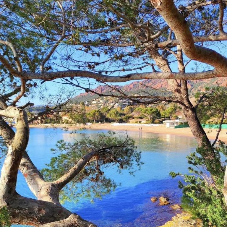 Vue mer et sur la baie de Cannes piscine 450m2 randonnée VTT au pied de l Esterel Manet - Appartement 1 Chambre - 10