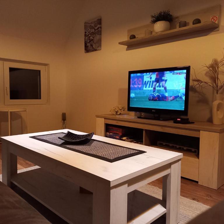 Apartman Tanja - Apartman sa 1 Spavaćom Sobom - 20