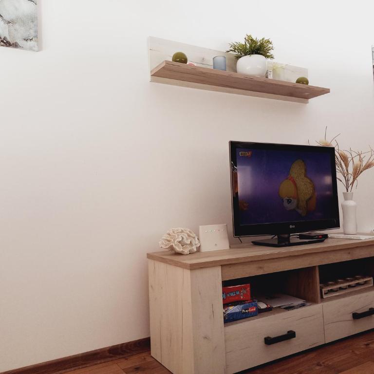 Apartman Tanja - Apartman sa 1 Spavaćom Sobom - 28