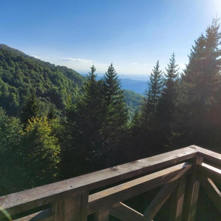 Apartman Solis Kop - One-Bedroom Apartment - 23