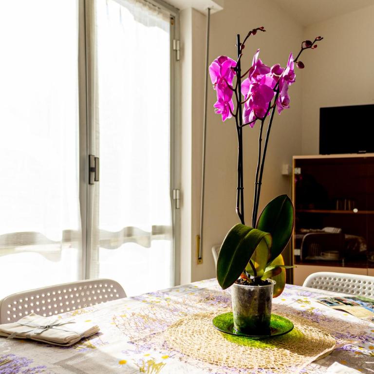Loano Apartment Pool & Garden - Appartamento con 1 Camera da Letto - 5