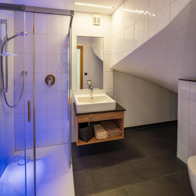 Serfaus Alpensuites - Apartamento - 2 niveles - 9