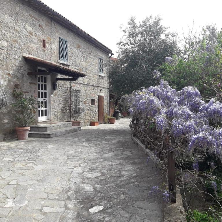 Il Fico di Cortona - Casa con 2 Camere da Letto - 4