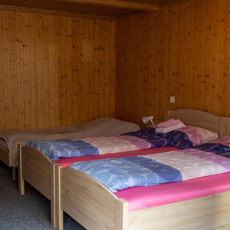 Hotel-Restaurant Stechelberg Bed & Breakfast - Apartment - 8