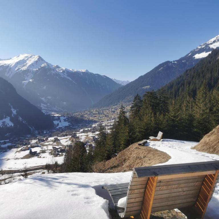 Cascada Montafon - Apartment mit 1 Schlafzimmer und Dusche - 24