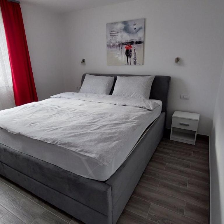 Aleksandar - Apartman - 8