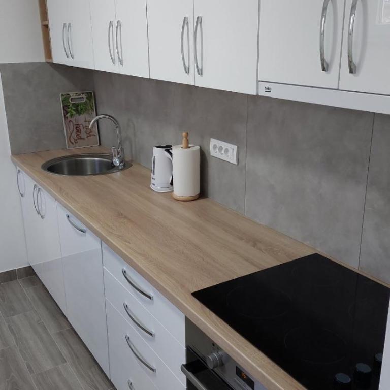 Aleksandar - Apartman - 10