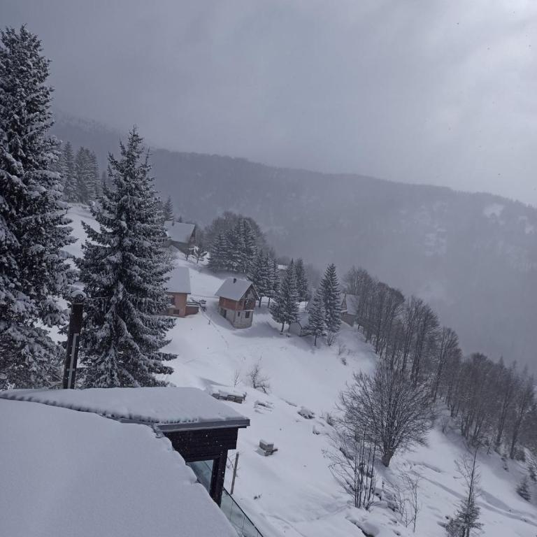 Pahulja Kop 48 Zoned II Kopaonik - Appartement 1 Chambre - 69