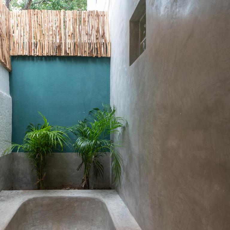 Casa Ikal - Studio - 3