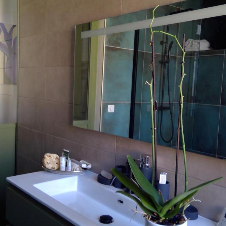 Appartement CLADA/ Côté Lac - Appartamento con 1 Camera da Letto - 19