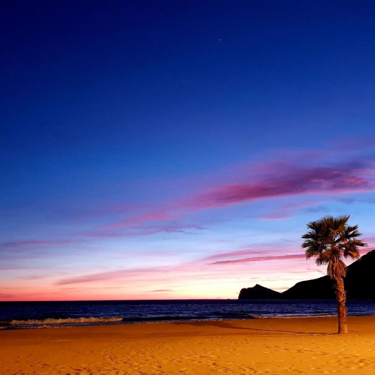 By the beach - Apartamento de 1 dormitorio - 30