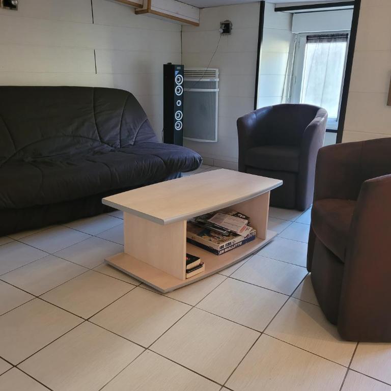 CURE THERMALE OU VACANCES D'ETE AU MONT DORE - Apartment with Mountain View - 4