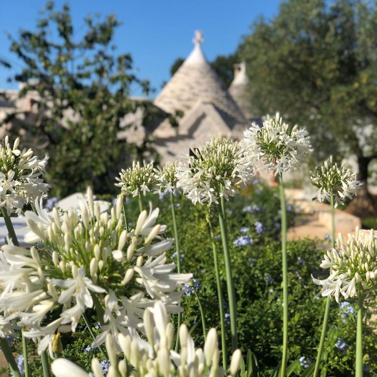 Trullo Genesi - Villa con Piscina Privata - 46