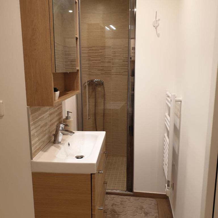 Charmant studio avec coin nuit - vieille ville CLIMATISE - Appartement 1 Chambre - 21