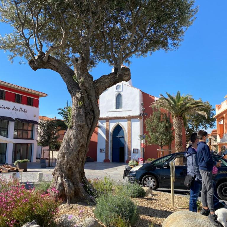 Rivage hyper centre et plage a pied - Apartamento de 1 dormitorio - 12