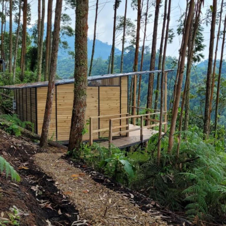 Latibule Glamping - Habitación Doble con terraza - 2