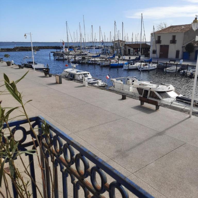 Appartement de charme sur le Port de Marseillan - Appartement 1 Chambre - 6