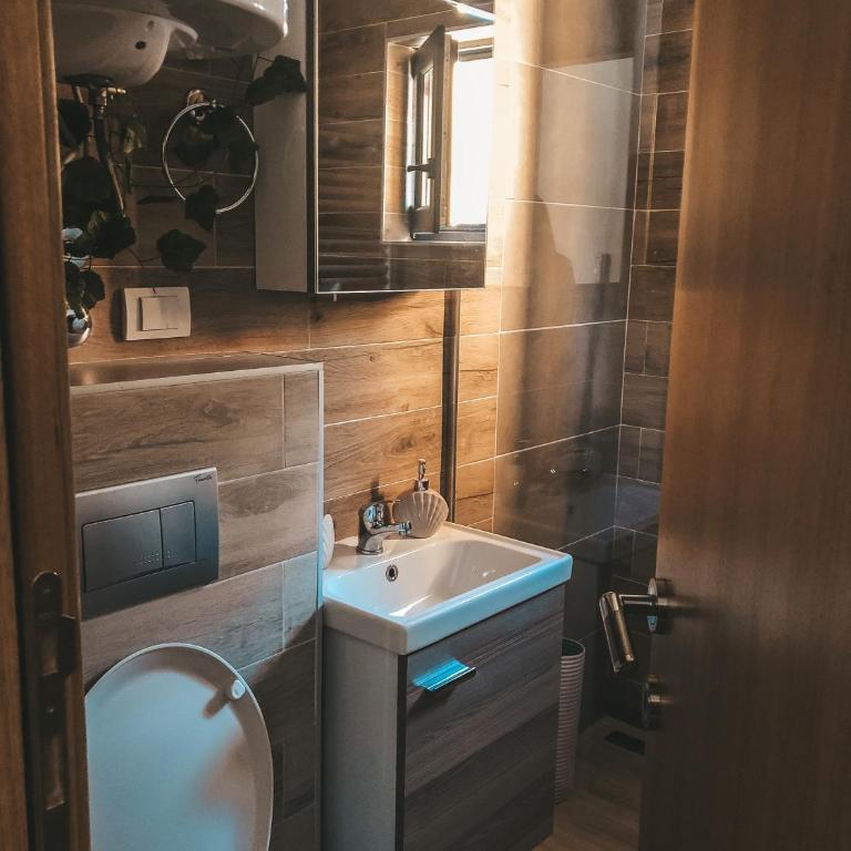 Apartman TRAG Divčibare - Studio sa Bračnim Krevetom (King-size) - 24