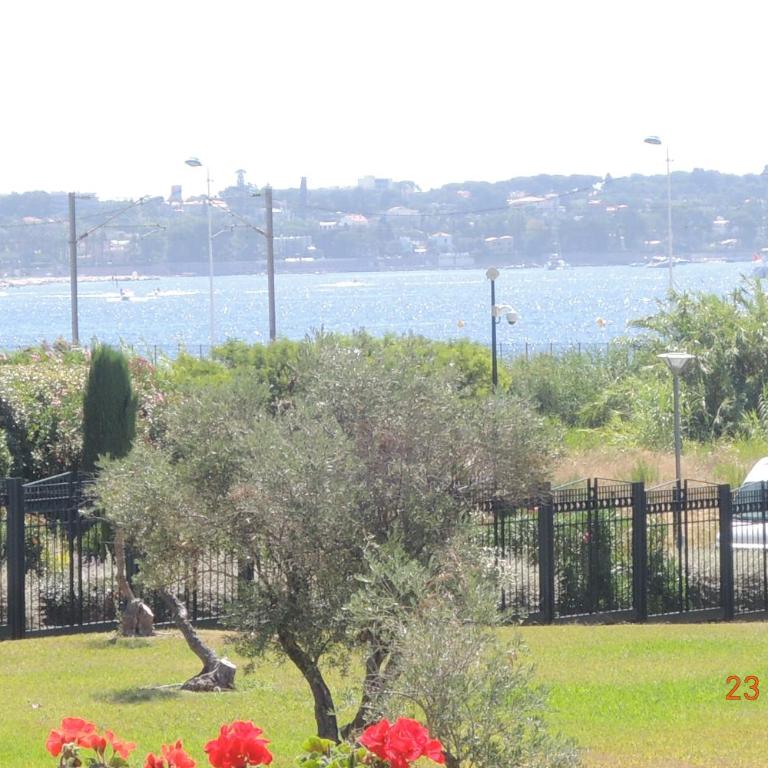 Les Pins Bleus - Antibes Juan Les Pins - Apartamento con vistas al jardín - 19