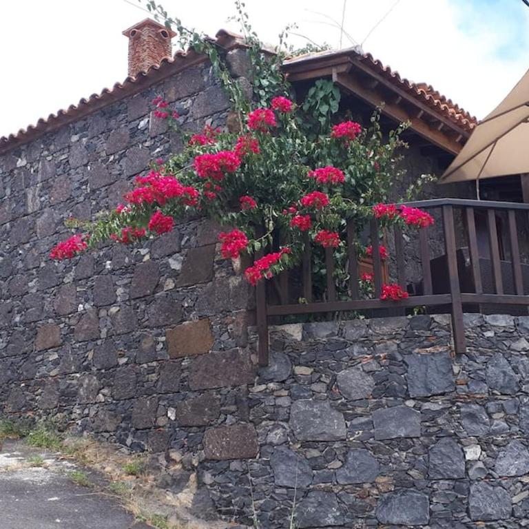 Casa Tía Rosa. - Casa de 2 dormitorios - 1