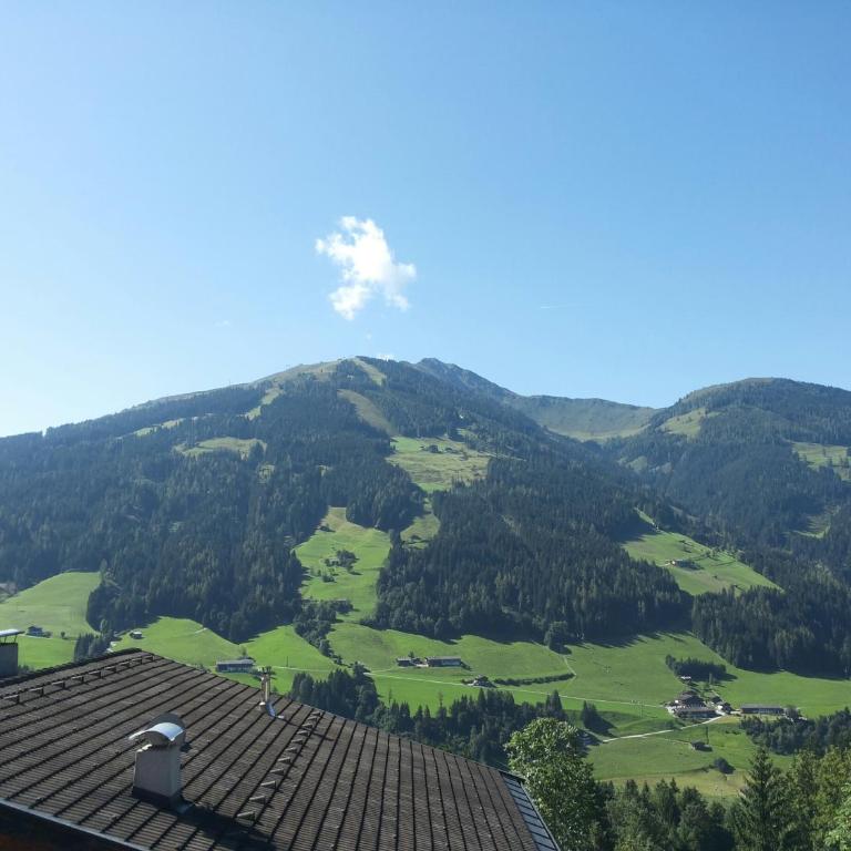 Alpbach 646 - Apartment - 12
