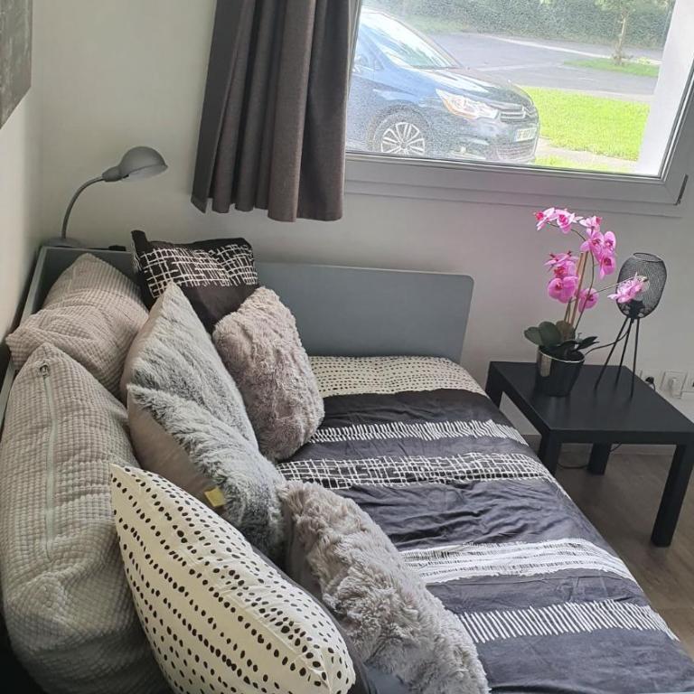 Centre de Dunkerque, Appartement RDC, 2 personnes, parking privé - Apartment - Erdgeschoss - 28