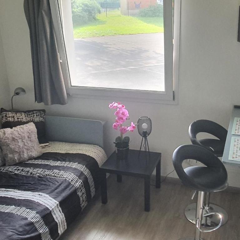Centre de Dunkerque, Appartement RDC, 2 personnes, parking privé - Apartment - Erdgeschoss - 29