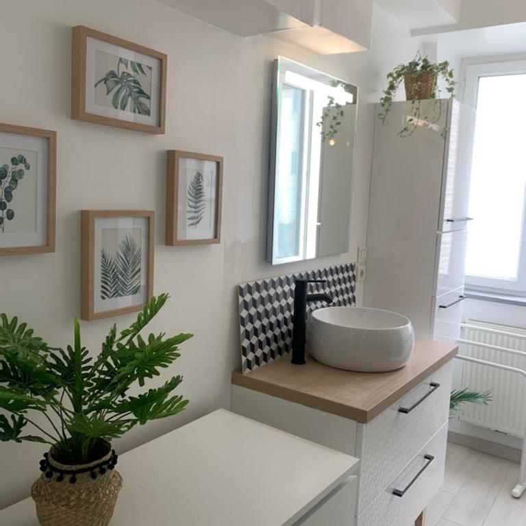 Le Metz, Duplex, 2 Chambres - Appartement 2 Chambres - 3