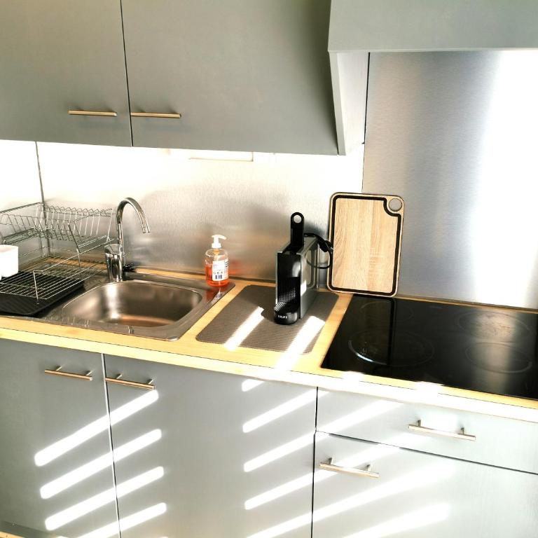 LES ROCHES BRUNES - Face Mer - Apartment - 11