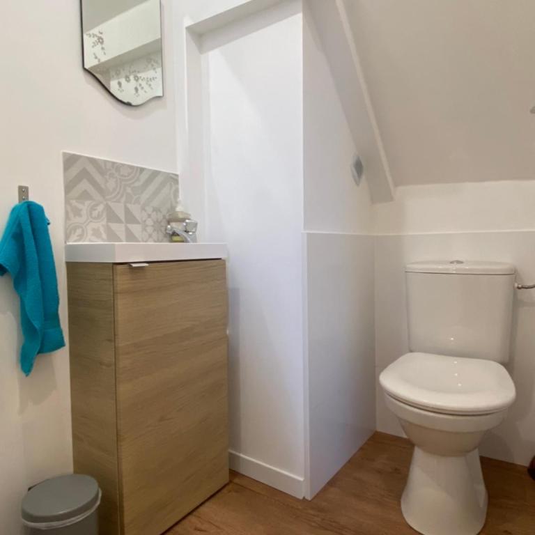 L'Ours de Colmar - Appartements en centre ville - Appartamento su 2 Livelli - 8