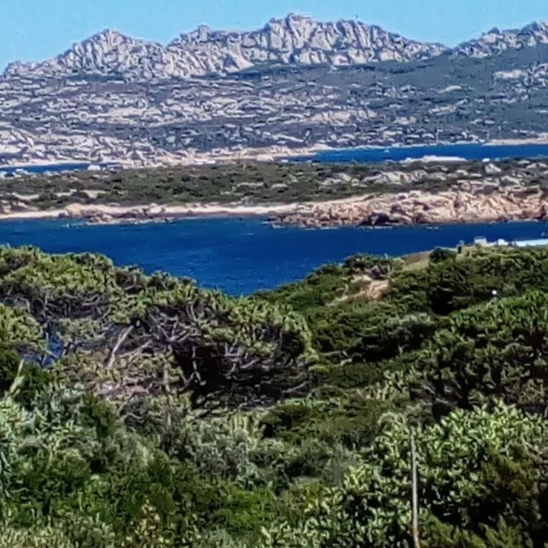 Villa Carlotta la Maddalena - Villa con Vista Mare - 5