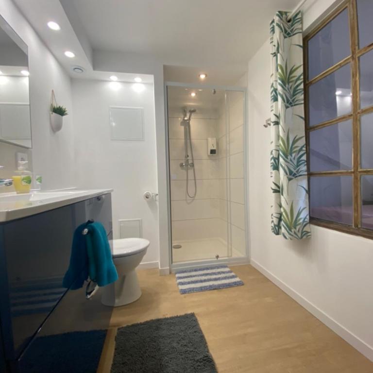 L'Ours de Colmar - Appartements en centre ville - Appartamento su 2 Livelli - 12