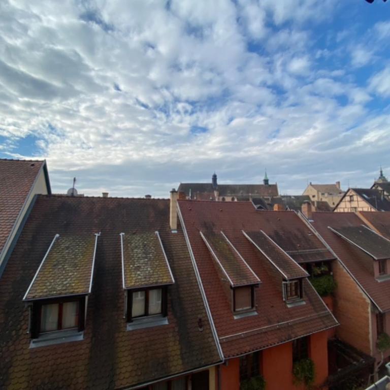 L'Ours de Colmar - Appartements en centre ville - Appartamento su 2 Livelli - 16