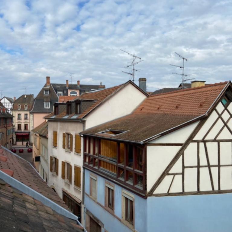 L'Ours de Colmar - Appartements en centre ville - Appartamento su 2 Livelli - 15