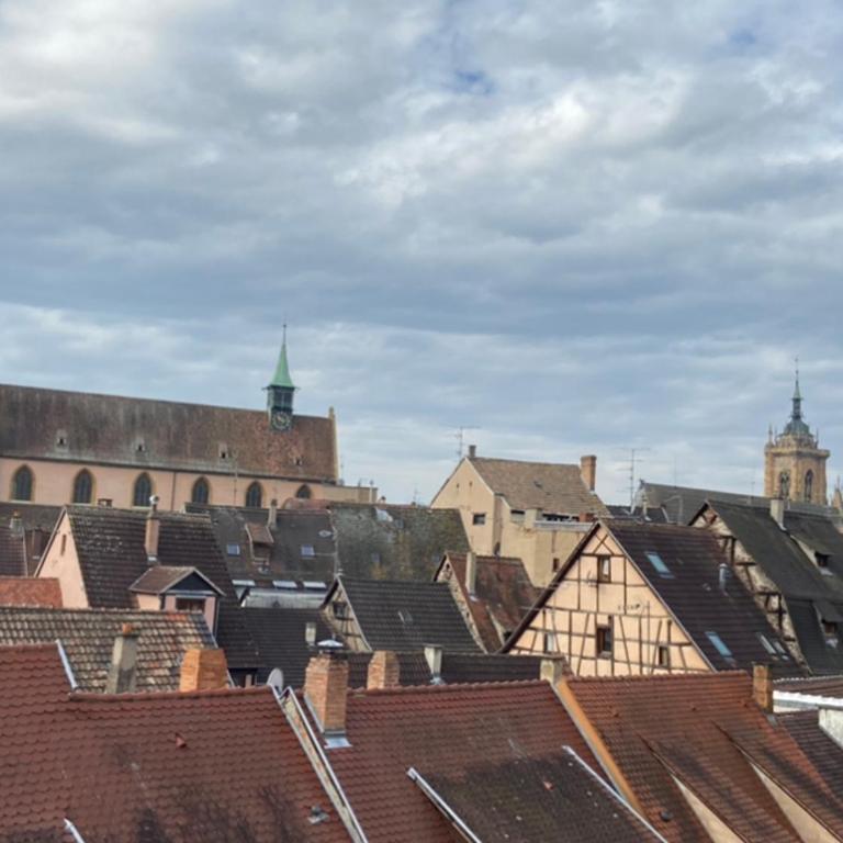 L'Ours de Colmar - Appartements en centre ville - Appartamento su 2 Livelli - 17